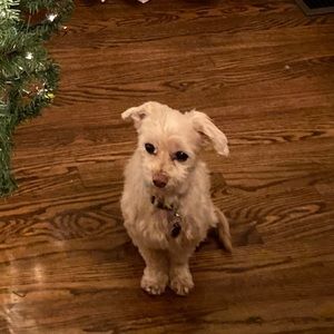 Meet your Posher, Gabriela